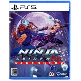 NINJA GAIDEN: Rageboundのメイン画像