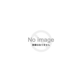 Nintendo Switch Lite ディアルガ・パルキア