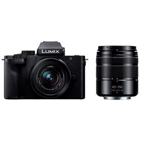 Panasonic LUMIX DC-G100DW ダブルズームレンズキット【お取り寄せ（1週間から10営業日程度）での入荷、発送】（2100000016227）