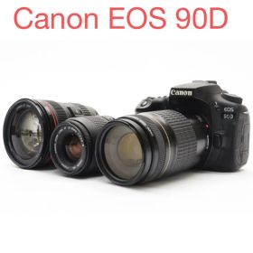 Canon EOS 90D/EF 24-105mm F4L IS USM