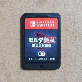 ゼルダ無双 厄災の黙示録 Nintendo Switch