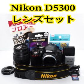 ❤️大人気❤️ Nikon D5300 レンズセット 一眼レフ スマホ転送