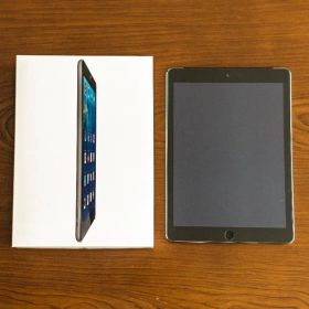 【動作確認済み】初代iPad Air 箱付き(A1475 セルラーモデル)