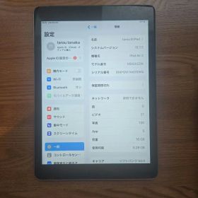 Apple iPad Air 2 16GB 本体のみ