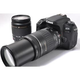 デジタル一眼 中古 CANON キヤノン EOS 9000D 標準＆望遠ダブルズームセット SDカード付き