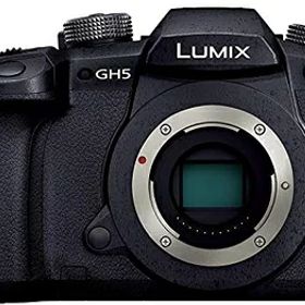 【中古】 パナソニック ミラーレス一眼カメラ ルミックス GH5 ボディ ブラック DC-GH5-K