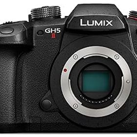 【中古】パナソニック(Panasonic) ミラーレス一眼カメラ ルミックス GH5M2 ボディ ブラック DC-GH5M2