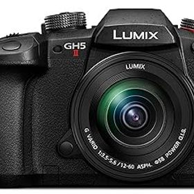 【中古】パナソニック(Panasonic) ミラーレス一眼カメラ ルミックス GH5M2 レンズキット 標準ズームレンズ付属 ブラック DC-GH5M2M