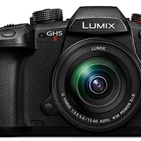 【中古】 パナソニック(Panasonic) ミラーレス一眼カメラ ルミックス GH5M2 レンズキット 標準ズームレンズ付属 ブラック DC-GH5M2M