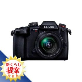 パナソニック DC-GH5M2M デジタル一眼カメラ DCGH5M2M