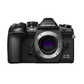 中古 1年保証 美品 OLYMPUS OM-D E-M1 Mark III ボディ
