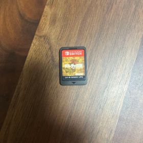 ゼルダの伝説 ブレス オブ ザ ワイルド Switch ※カセットケースあり