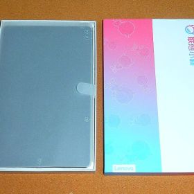 LENOVO Tab P11 ( NEC LAVIE T11 ) 美品