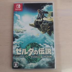 ゼルダの伝説 ティアーズ オブ ザ キングダム
