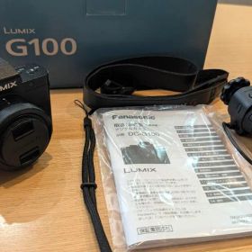 Panasonic LUMIX DC-G100 ミラーレス一眼 本体