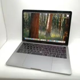 Apple MacBook Pro 13インチ (wTB) CTO (Mid 2019) スペースグレイ Core i5(2.4G)/16G/256G(SSD)/Iris Plus 655