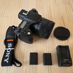 SONY ソニー Cyber-shot サイバーショット DSC-RX10M4