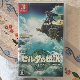 ゼルダの伝説 ティアーズ オブ ザ キングダム