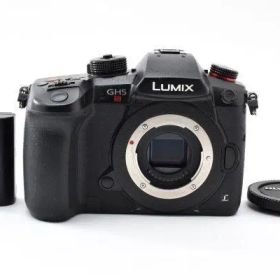 【ショット数11,189】 LUMIX GH5S DC-GH5S Y4079