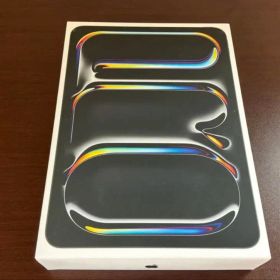 iPadPro11インチ2024 M4 256GB Wi-Fi+Cellular