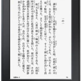 Amazon Kindle Paperwhite Wi-Fi（2015/第7世代） 4GB ブラック
