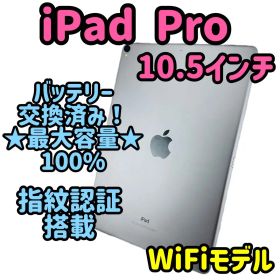 ipadpro 10.5インチ 第1世代 / 64gb / グレイ
