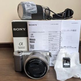 【送料無料】SONY α5000 ILCE-5000Y（動作確認済）