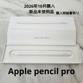 2026/10月購入【新品未使用】Apple Pencil Pro 本体 明細有
