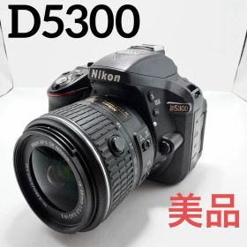 【美品】Nikon D5300 レンズキット デジタル一眼レフ