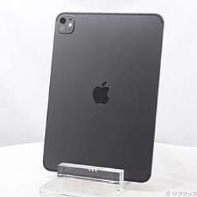 iPad Pro 11インチ(M5) 標準ガラス 256GB スペースブラック ME2N4J／A SIMフリー ［11インチ有機EL／Apple-M5-9コアCPU10コアGPU］