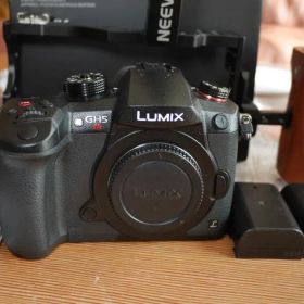 Panasonic LUMIX GH5S 本体 ケージ付き 美品
