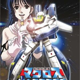 「非常に良い」超時空要塞マクロス(中古品)