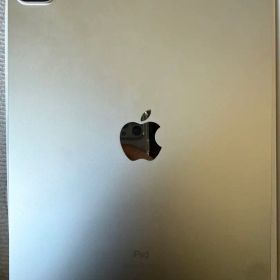 iPad Pro 11インチ 第3世代 256GB Wi-Fi+Cellular