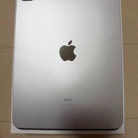 Apple iPad Pro 11インチ 第3世代 256GB 本体