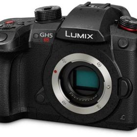 【中古】パナソニック ミラーレスマイクロフォーサーズデジタルカメラ Lumix DC-GH5S (国際版) 保証なし