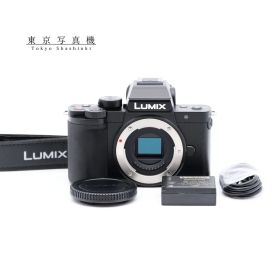 ショット数77回 Panasonic DC-G100 ミラーレス一眼 パナソニック マイクロフォーサーズマウント