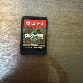 ゼルダの伝説 ティアーズ オブ ザ キングダム Nintendo Switch