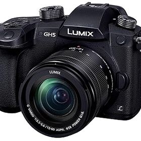 【中古】(非常に良い)パナソニック(Panasonic) ミラーレス一眼カメラ ルミックス GH5 レンズキット 標準ズームレンズ付属 ブラック DC-GH5M-K