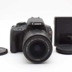 ★美品★ 《ショット数 9614回》 キヤノン CANON EOS Kiss X7 + EF-S 18-55mm IS STM #3118