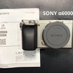 SONY α6000 本体 ミラーレス一眼 シルバー 動作良好