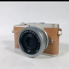 オリンパス OLYMPUS PEN E-PL9 ミラーレス一眼カメラ