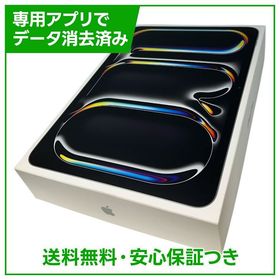 【バッテリー100%】iPadPro 11インチ第6世代（M5） Wi－Fi 256GB シルバー