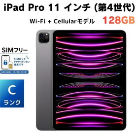 外装超美品 電池88％ Apple 11インチiPad Pro Wi-Fi + Cellular 128GB - スペースグレイ（第4世代） SIMフリー MNYC3J/A M2チップ 【動作確認・初期化済み】