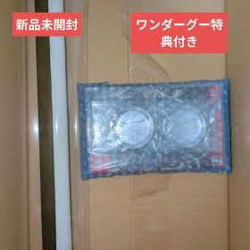 新品 Switch版 Curse Warriorワンダーグーオリジナル限定セット
