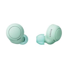 ソニー(SONY) 完全ワイヤレスイヤホン WF-C500 : /軽量小型5.4g/高精度通話品質/簡単ペアリング/IPX4防滴性能/アイスグリーン WF-C500 GZ