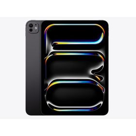 iPad Pro 13インチ 第1世代(2024)M4 Wi-Fi 256GB MVX23J/A (スペースブラック)/apple