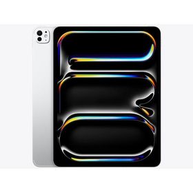 Apple iPad Pro 13インチ セルラー 1TB 2025年 ME8F4J/A シルバー【お取り寄せ ※1ヶ月から2ヶ月見込み】（2100000017798）