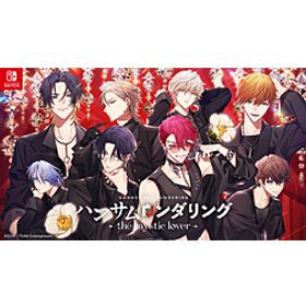 ハンサムロンダリング -the mystic lover- 【Switchゲームソフト】