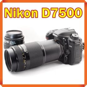 少シャッター数 Nikon D7500 一眼レフカメ スマホ転送 ダブルレンズ