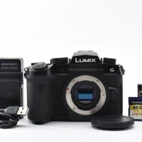 パナソニック Panasonic LUMIX DC-G99M2 ボディ 206